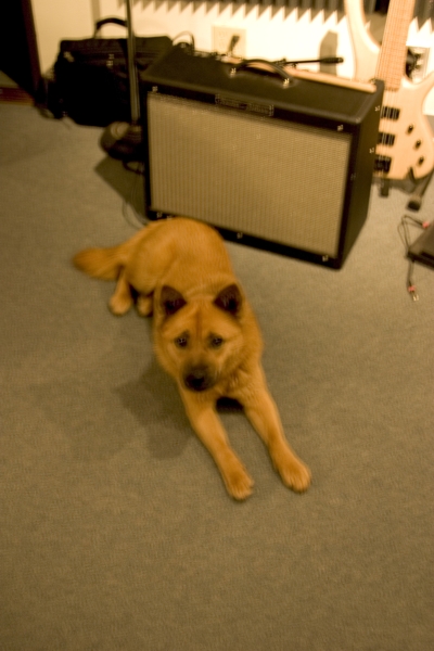 Fenni 2